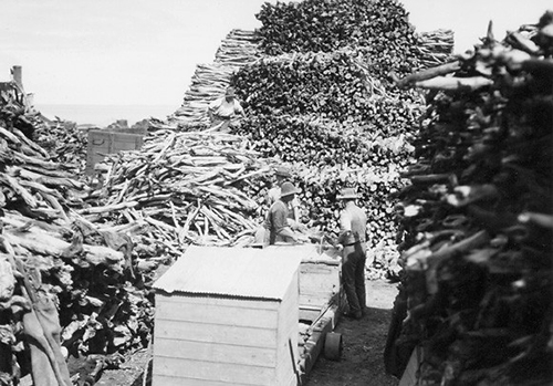 Grading – Courtesy of The State Library of Western Australia.