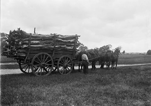 Harvesting c. 1910 – Courtesy of The State Library of Western Australia.