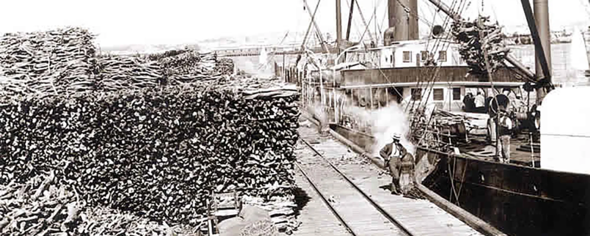 history-banner-sandalwood-fremantleport.jpg