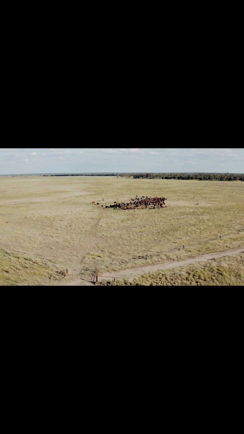 Those mustering days.