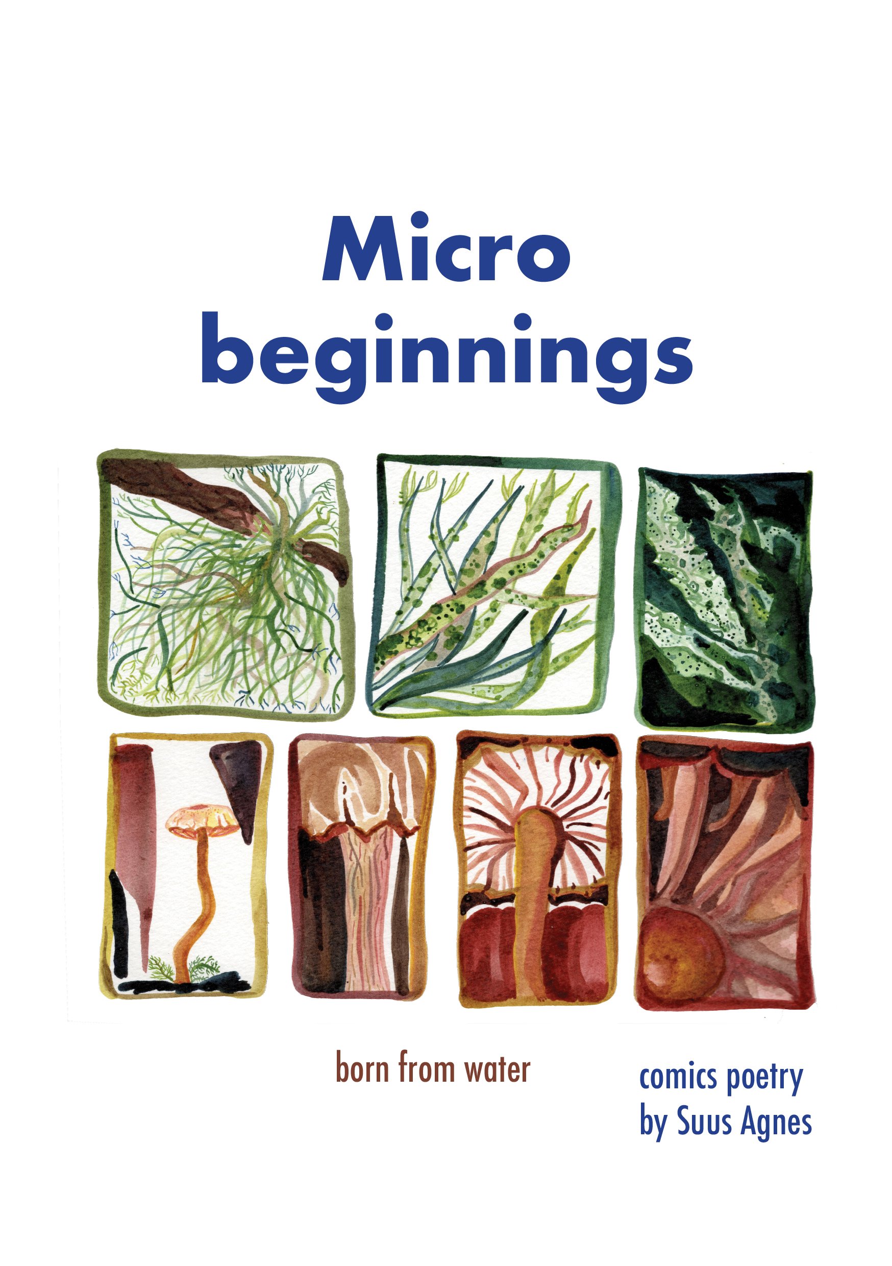 micro beginnings n.jpg