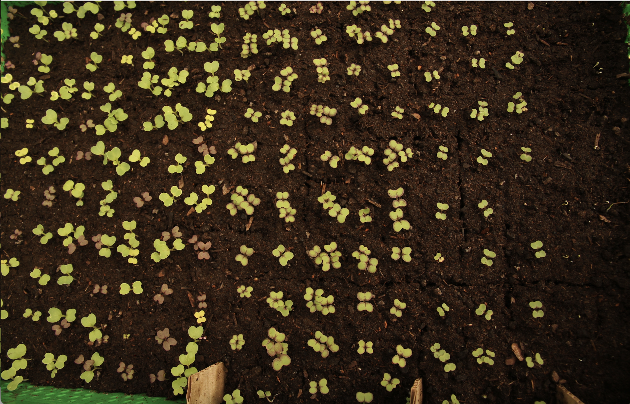 Screenshot 2026-03-12 at 5.54.56 PM.png