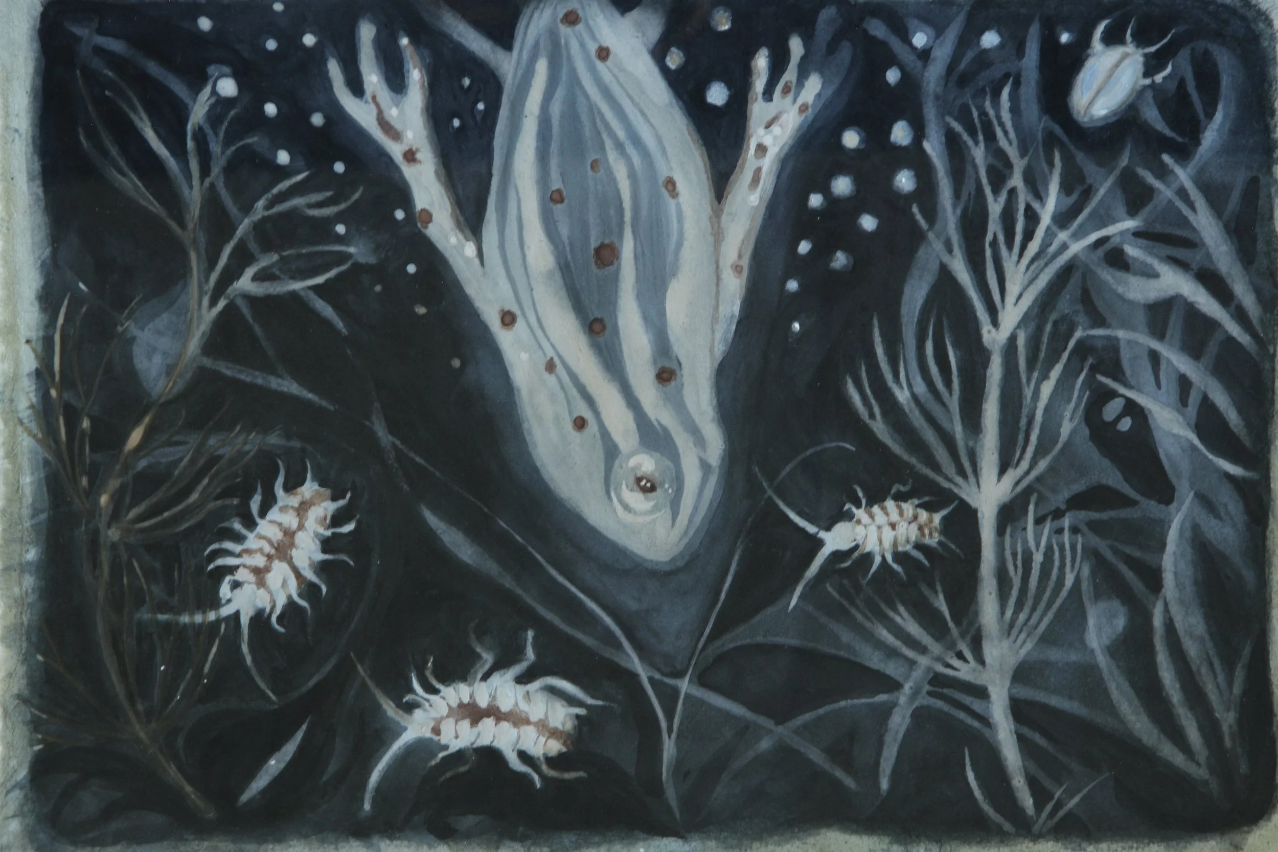 La plongée (Frog dive)