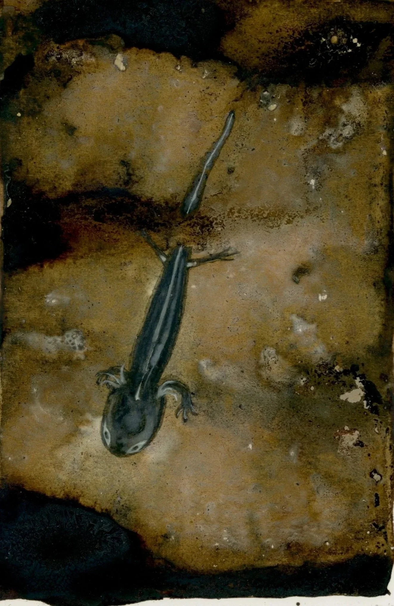 La vie entre les gouttes (Life between the drops)