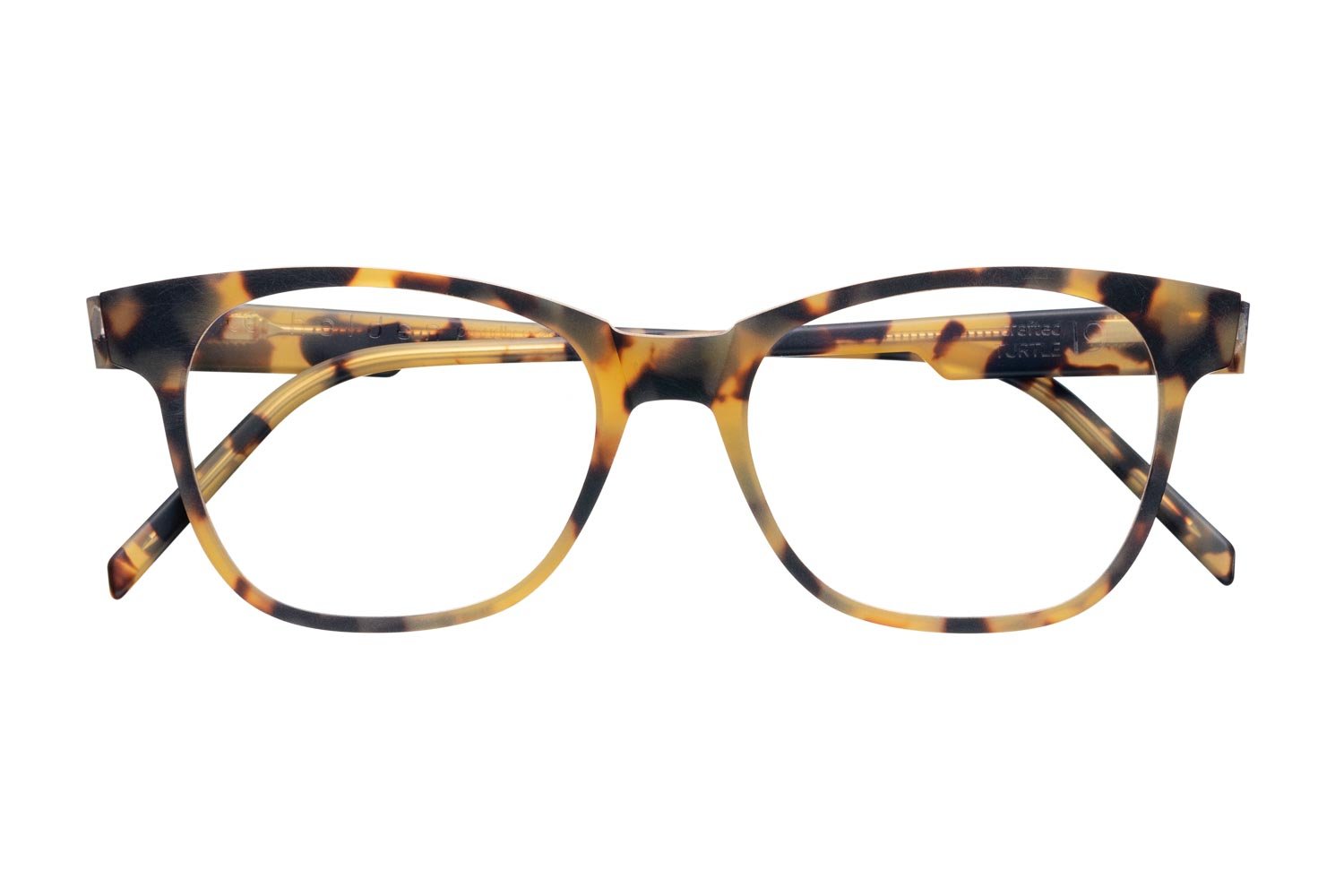 model 19. CRAFTED turtle