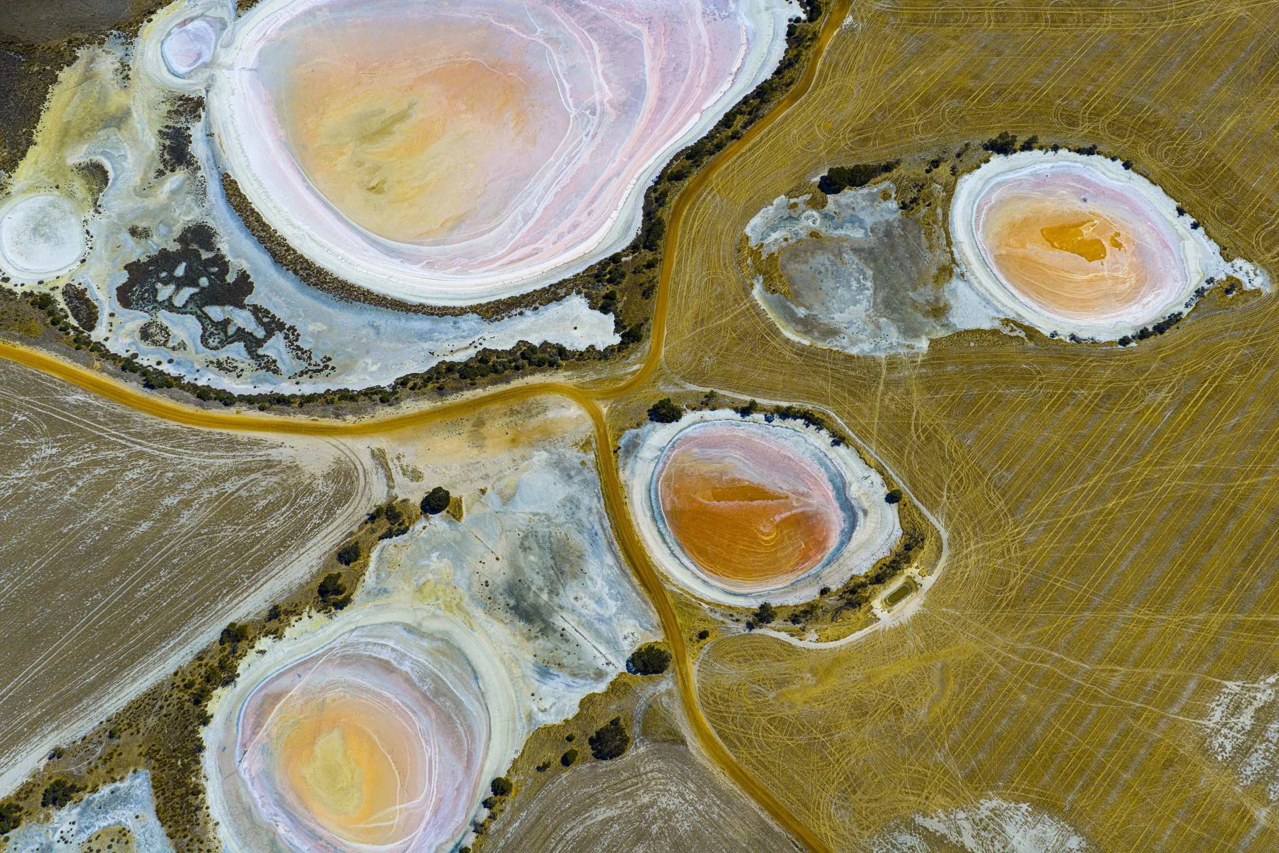 Broken Eggs