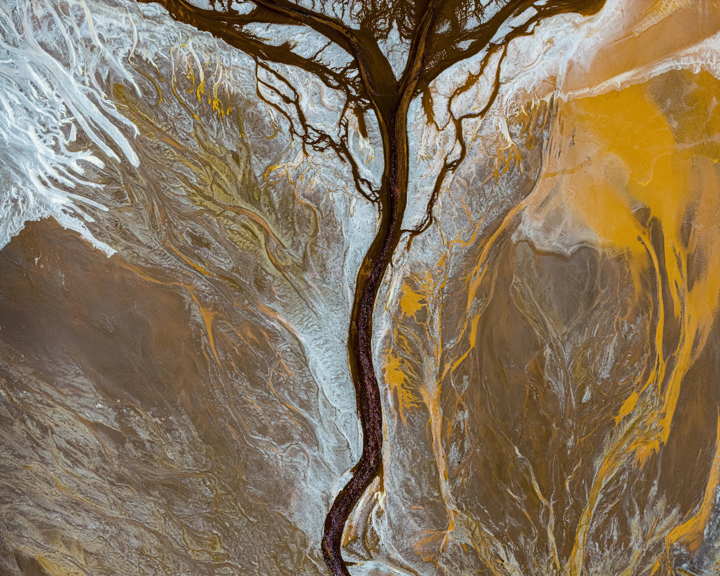 Arterial
