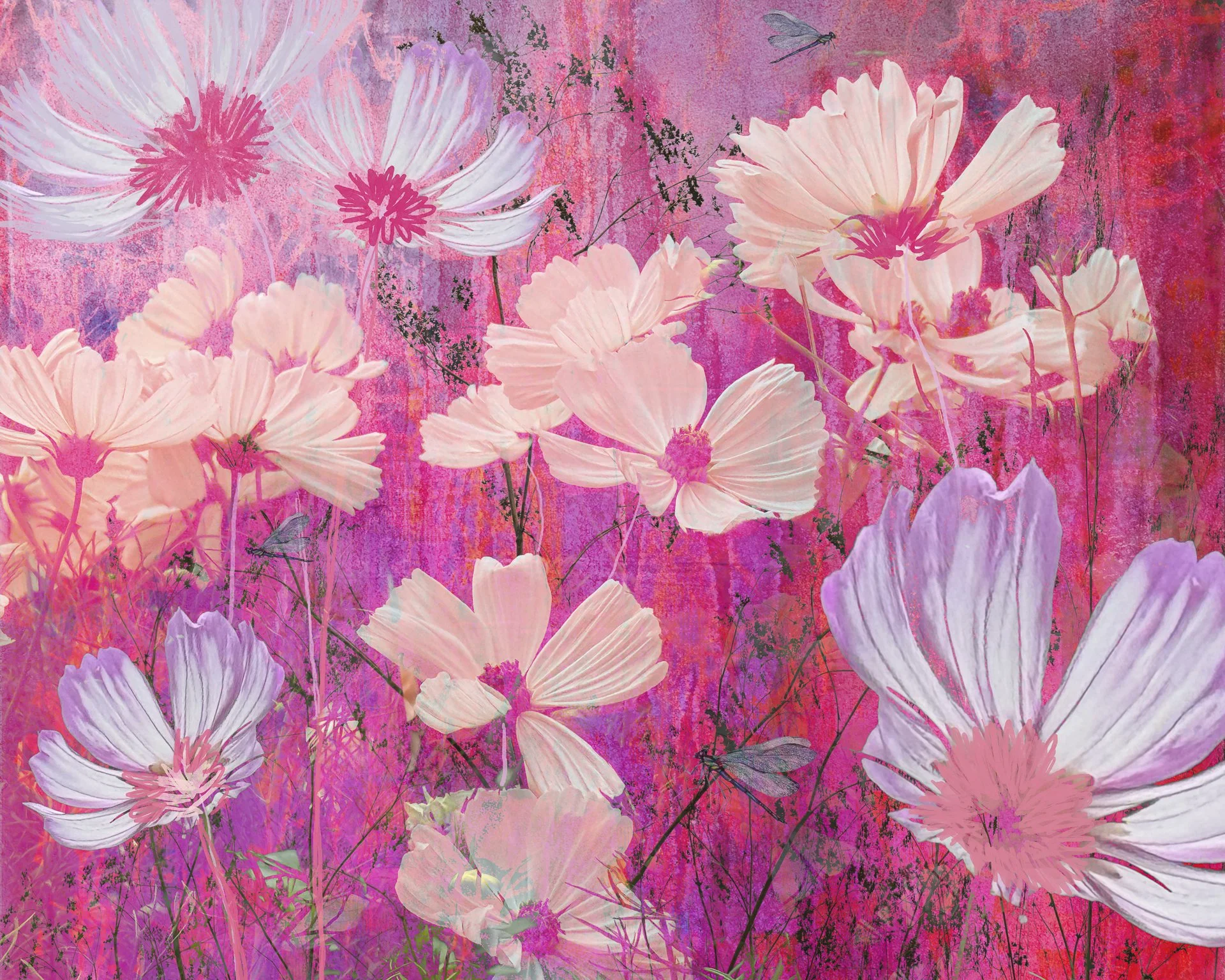 Cacophony Of Joy
