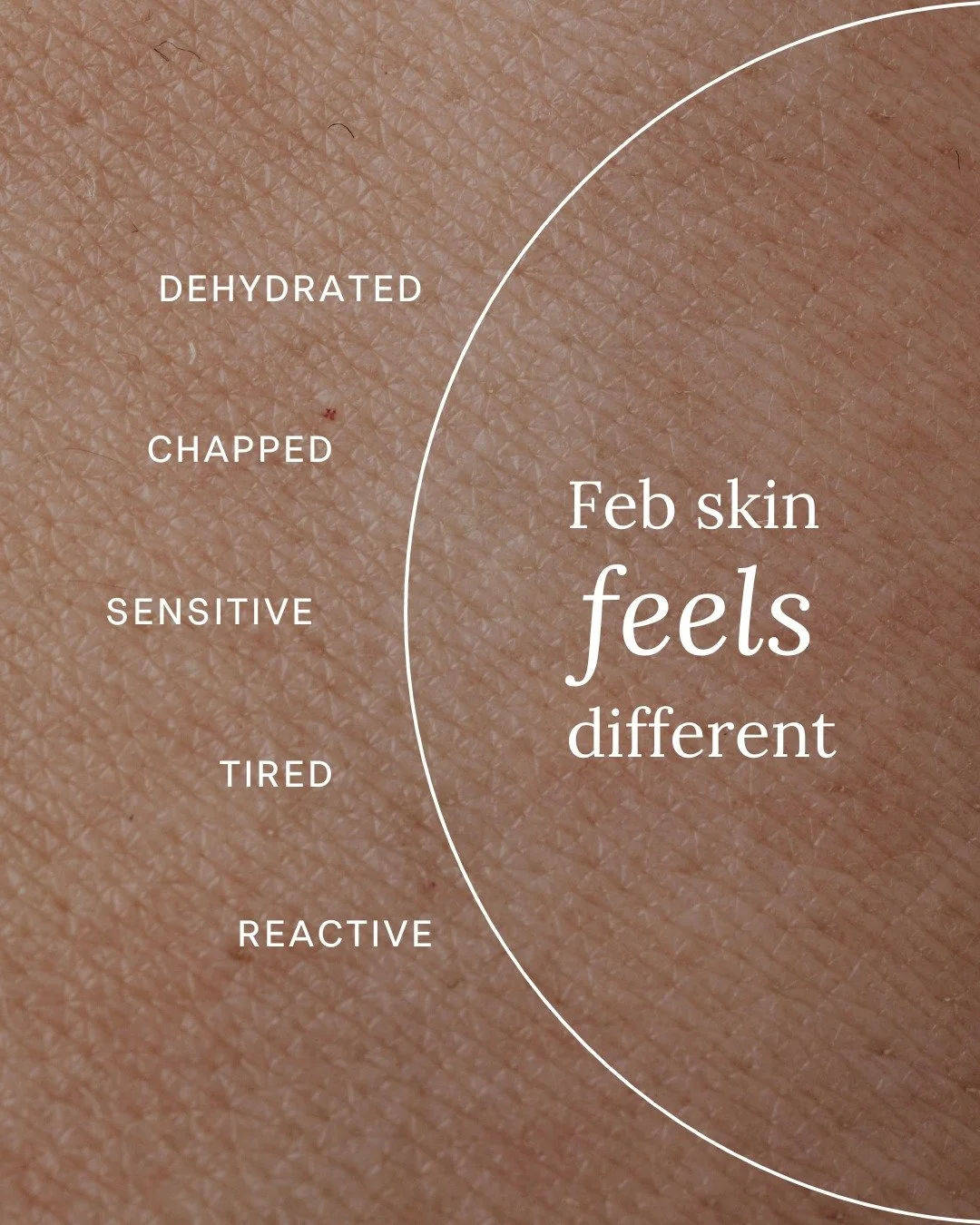 February can feel like a quiet in-between.

The new year rush has passed, but spring hasn&rsquo;t fully arrived, and our bodies often reflect that pause. Skin can feel dull, dehydrated or reactive. Energy levels fluctuate. The nervous system is still