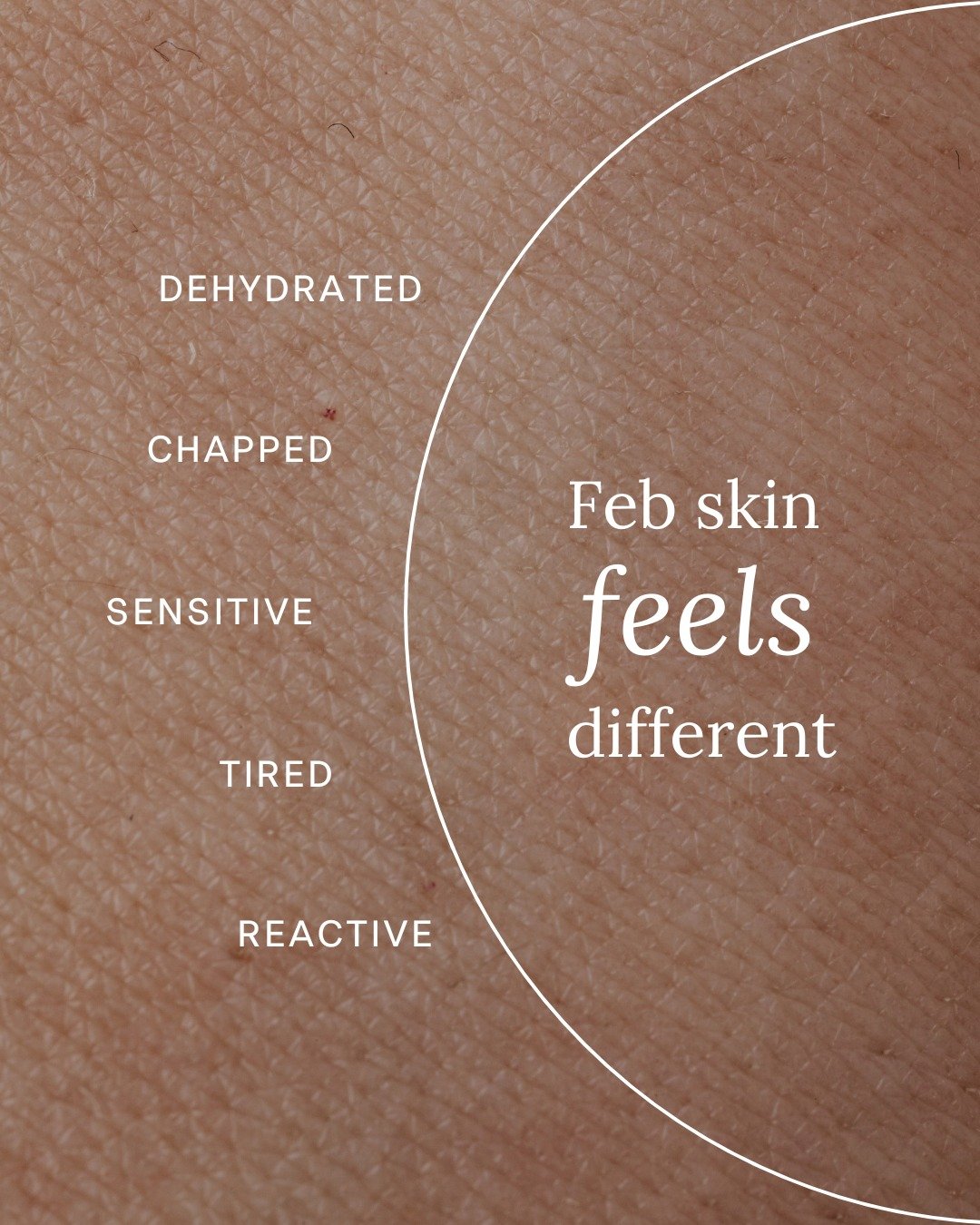 February can feel like a quiet in-between.

The new year rush has passed, but spring hasn&rsquo;t fully arrived, and our bodies often reflect that pause. Skin can feel dull, dehydrated or reactive. Energy levels fluctuate. The nervous system is still