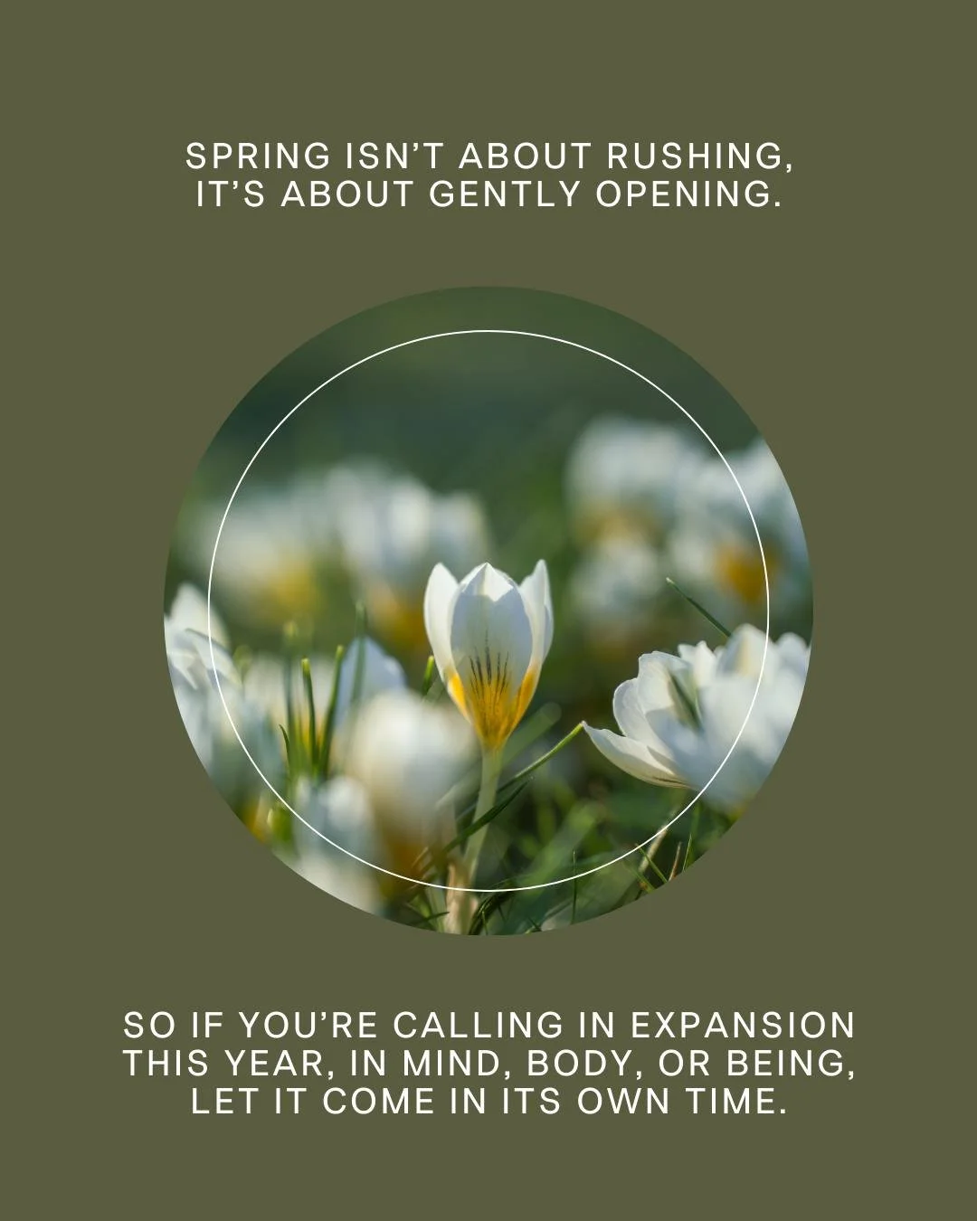 &ldquo;Spring isn&rsquo;t about rushing forward.
It&rsquo;s about gently opening.&rdquo;

We&rsquo;re often taught to treat spring as a push.
New goals, new energy, new expectations.

But in the body, spring is rarely an instant shift.
It&rsquo;s a s