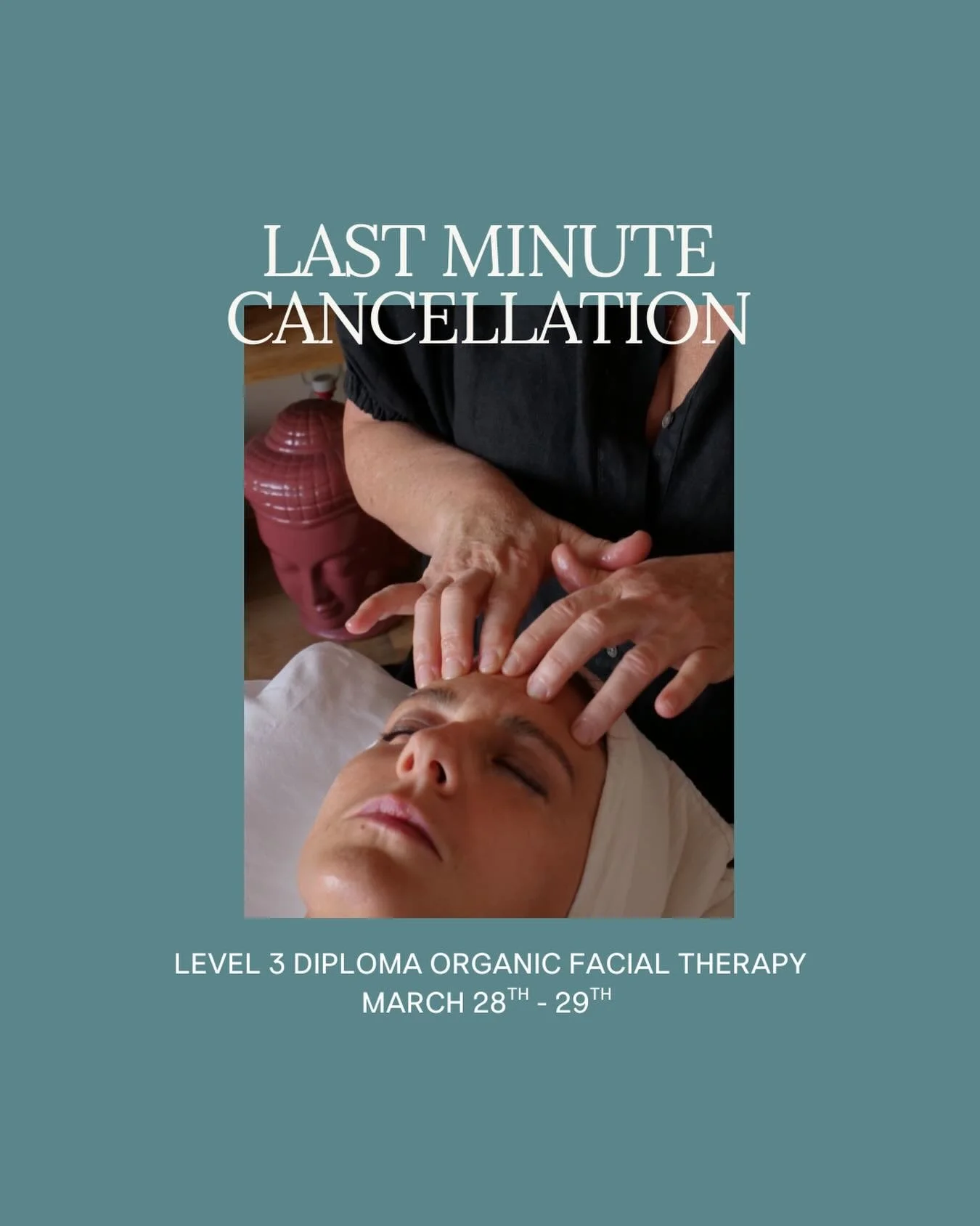 I&rsquo;ve had some cancellations for the next Level 3 Organic facial training diploma. If you&rsquo;re interested in bringing facials into your practice, DM me for the discounted code or more information. Dates 28/29th March 🙌🏻