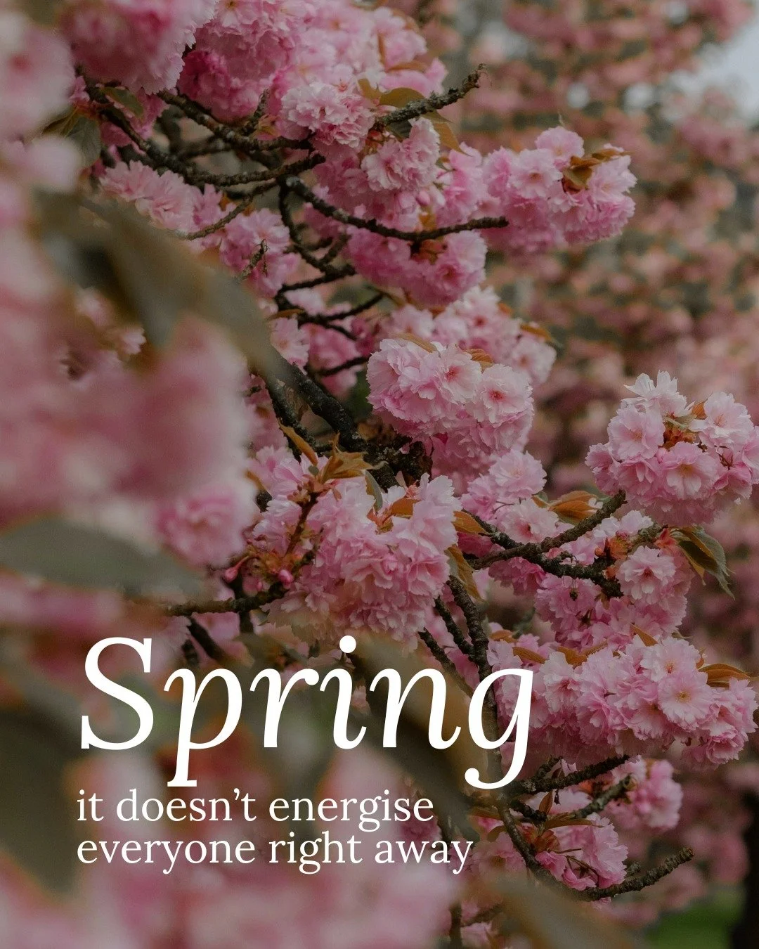 This is something I see every year.

As the light increases and the world speeds up, many bodies feel more tired, not less.
The nervous system is adjusting.
Hormones are recalibrating.
The body is catching up after winter.

There&rsquo;s nothing wron