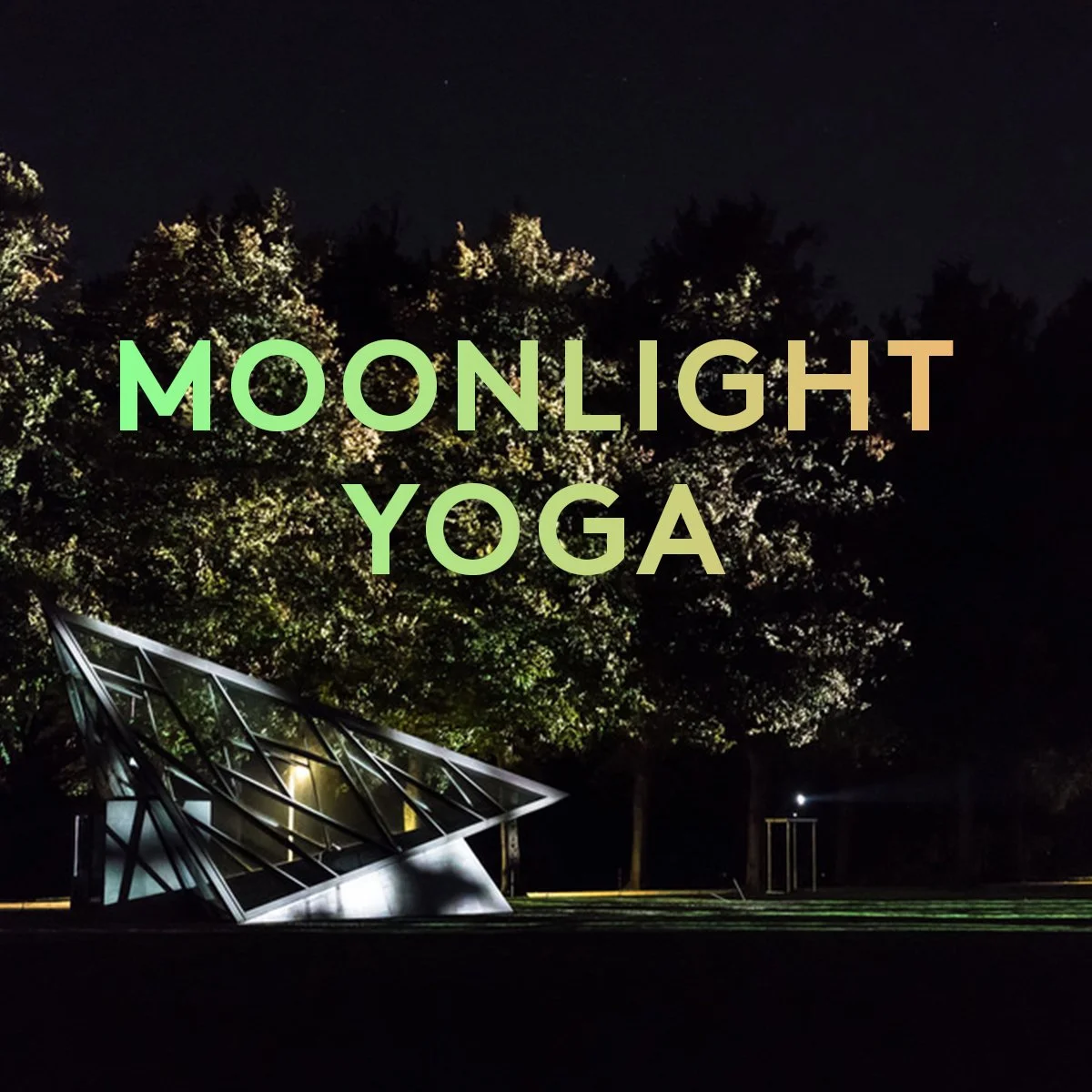 Nattescene med et moderne bygning ved siden af en stor træ, overladt af stjerner på himlen, med teksten 'Moonlight Yoga' i midten.