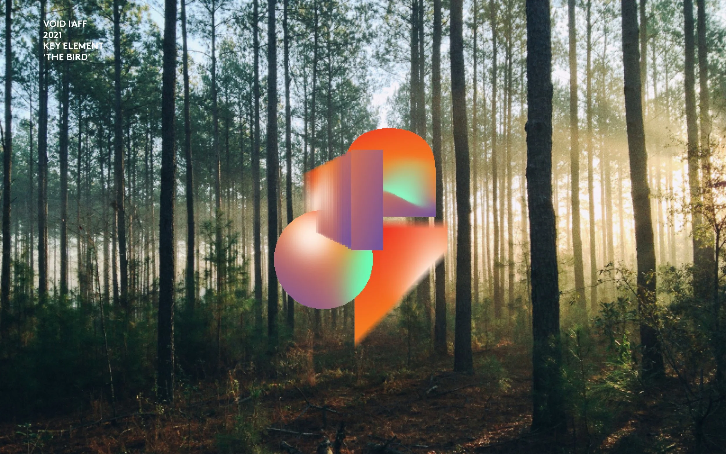 VOID_visual identity_keyelement forest.jpg