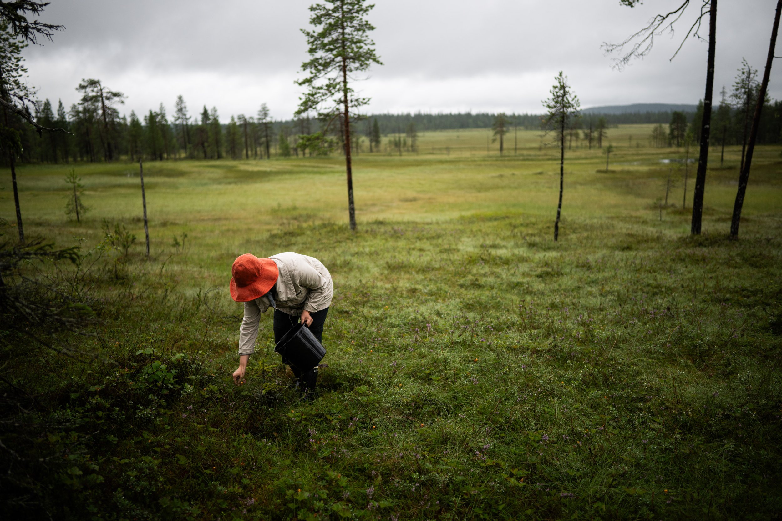 Maaseudun tulevaisuus | 2024