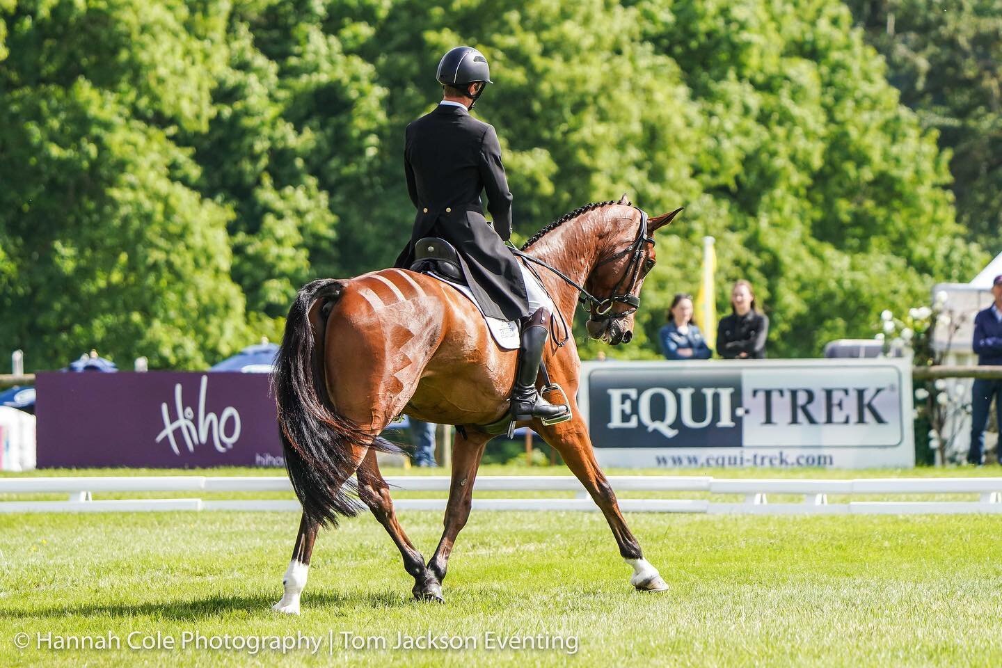 Farndon sits in the top 20 after dressage @bramhamhorse. Really pleased with a lot of the work he produced today just a couple of small mistakes. There&rsquo;s a lot to jump tomorrow 🤞we are on our A game! 

📸 @justmshannah 

#bramhamhorsetrials #d