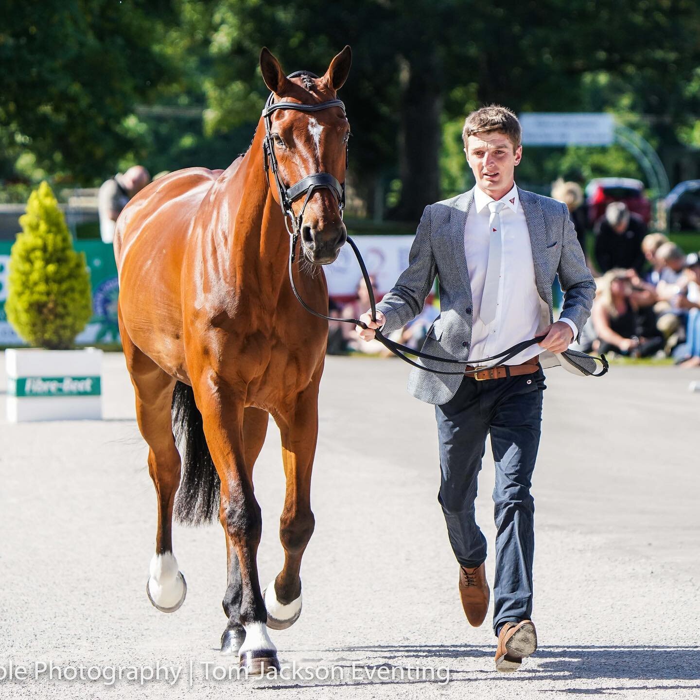 CCI4*L trot up ✅ with Farndon @bramhamhorse 

Farndon looking a million dollars thanks to @gabi_pitman along with @topspec_horse_feeds 👀 at that shine and  @fairfaxsaddles!

@event.collection kindly had me dressed from head to toe! 

📸 @justmshanna