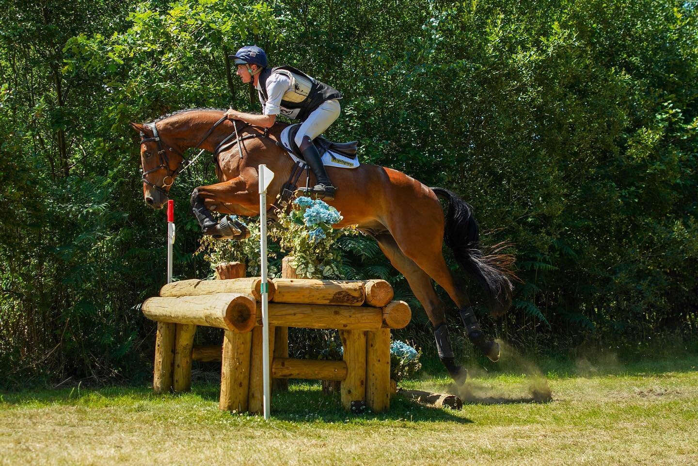 A very successful days eventing @tweseldownht on Sunday but boy it was ☀️😎🥵🍦

First up was the 5yr olds&hellip;

🥈Another superb performance from Leamore After Hours 27.8 D/C and picked up his qualification for the British Young Horse Championshi