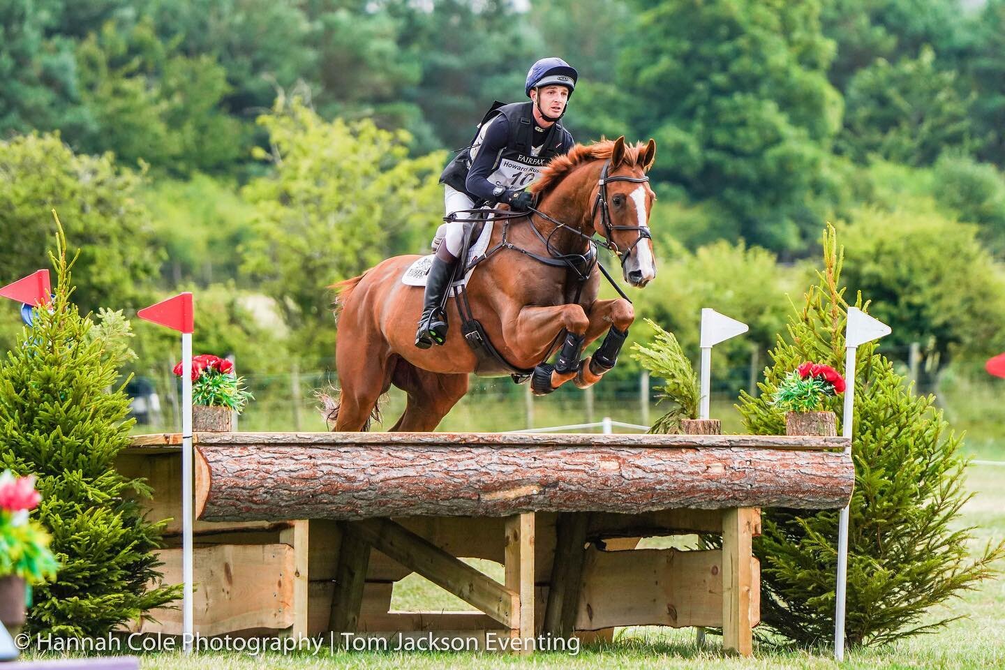 We have a selection of intermediate/3* horses available for sale. All very competitive horses and have good records. Please get in touch if your looking for your next superstar! 

#eventhorsesforsale #eventinghorseforsale #hannahcolephotography