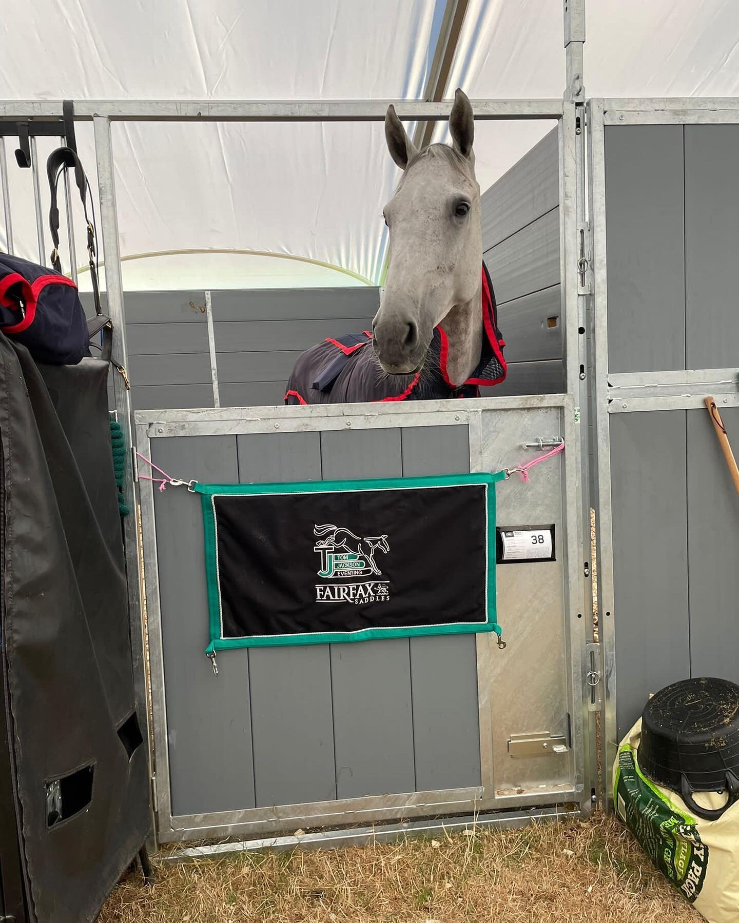 All set up here @lrbht_official with Capels Hollow Drift! Very excited to be here!! 😀 Wish us luck 🍀 and🤞for a good week!!

#burghley #burghleyhorsetrials #fairfaxsaddles #fedontopspec #flexonstirrups #capelshollowdrift #tomjacksoneventing