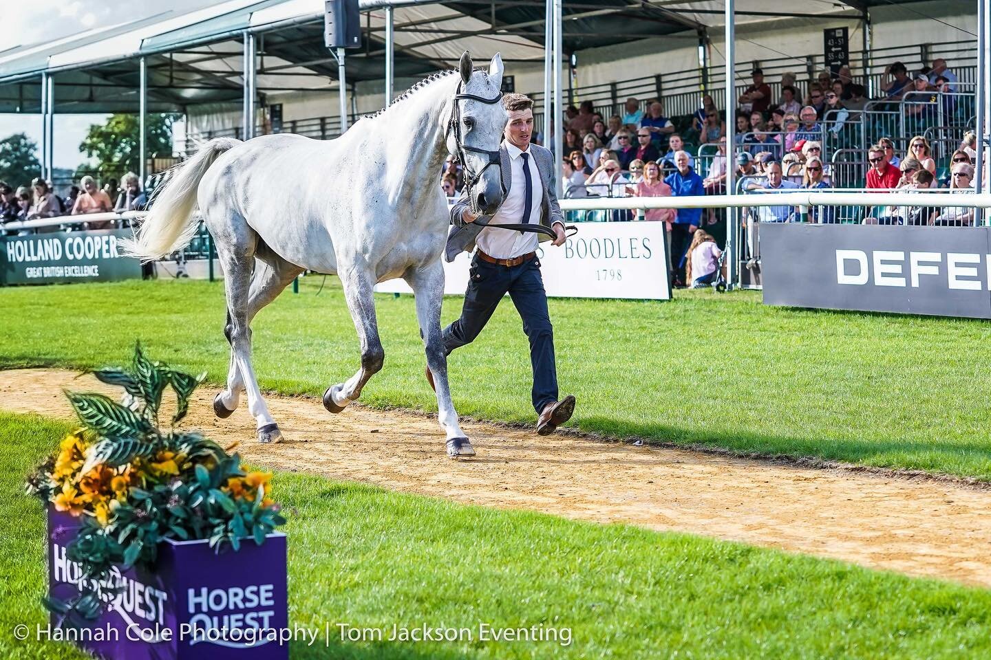 Capels Hollow Drift sailed through the trot up this afternoon @lrbht_official 

A big thanks to @gabi_pitman for turning him out so well! 

Our dressage is at 1.45pm on Friday, let&rsquo;s hope he&rsquo;s ready to dance!! 🪩 

Thank you to @justmshan