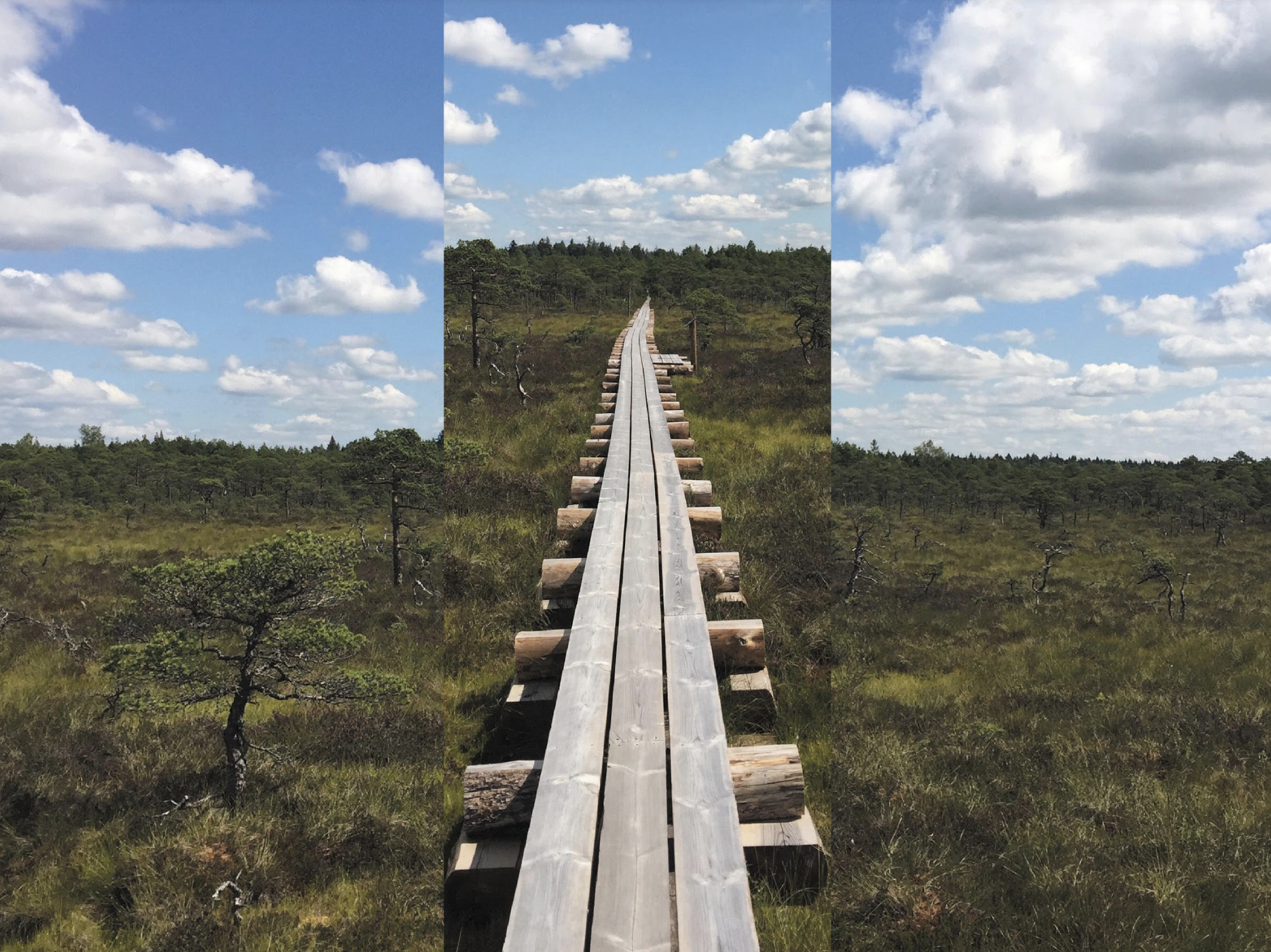 Screen Shot 2019-08-30 at 5.37.55 PM.png