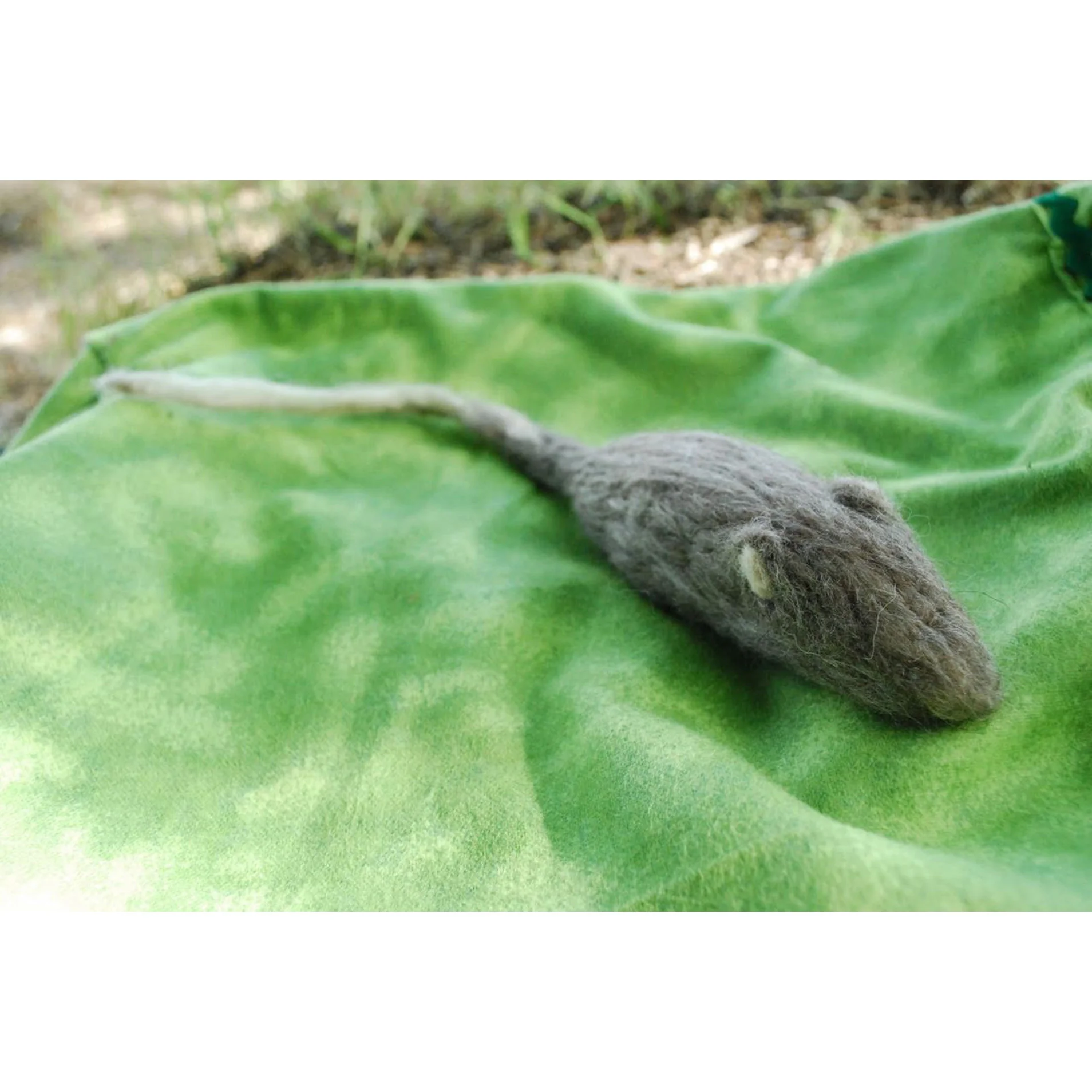 Jeremy Mouse