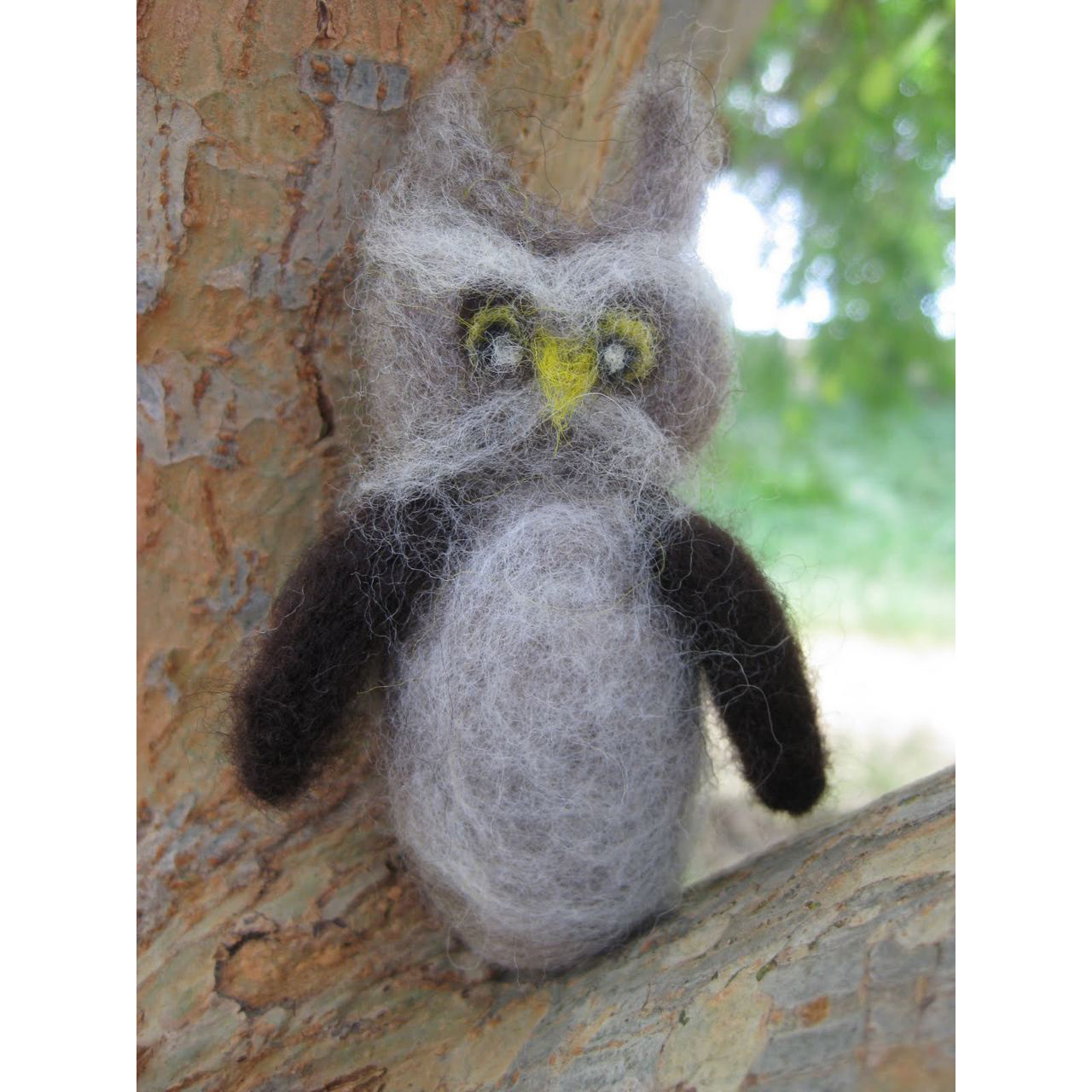 Mr Owl in his tree.