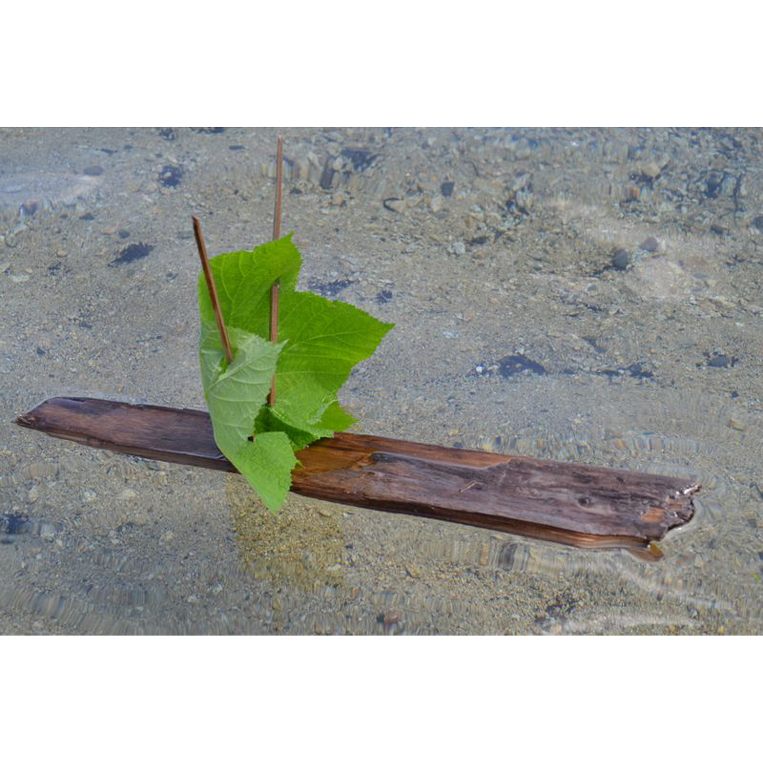 Tiptoes Lightly's leaf boat.