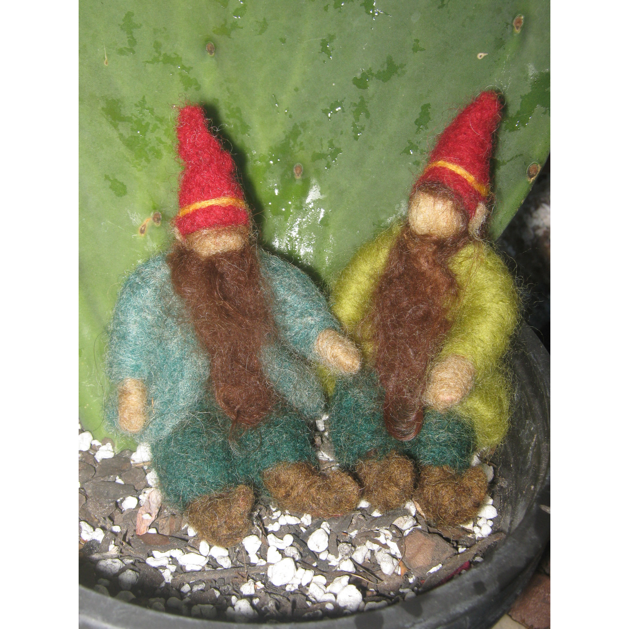 Pine Cone and Pepper Pot the Gnomes