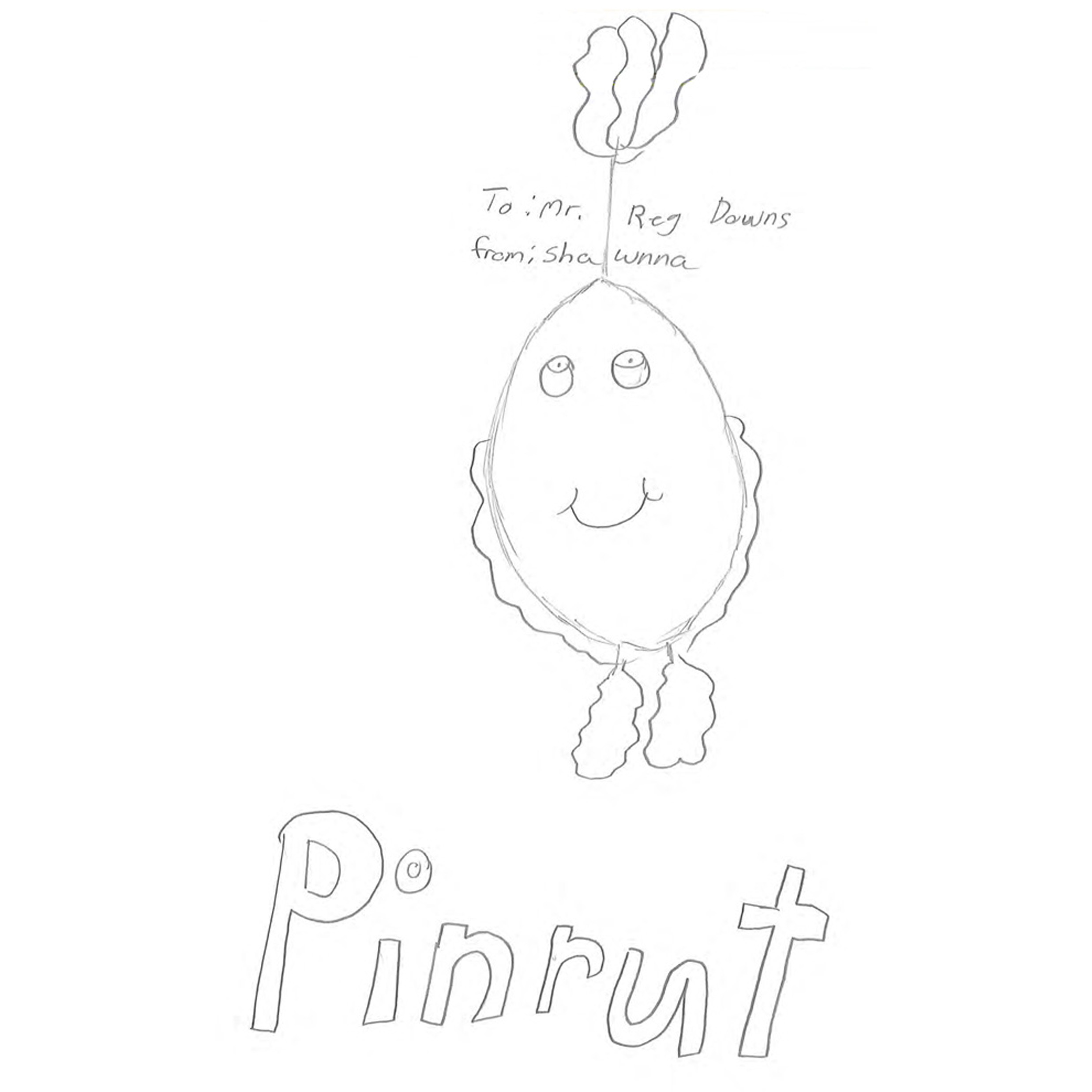 Pinrut the Turnip Boy