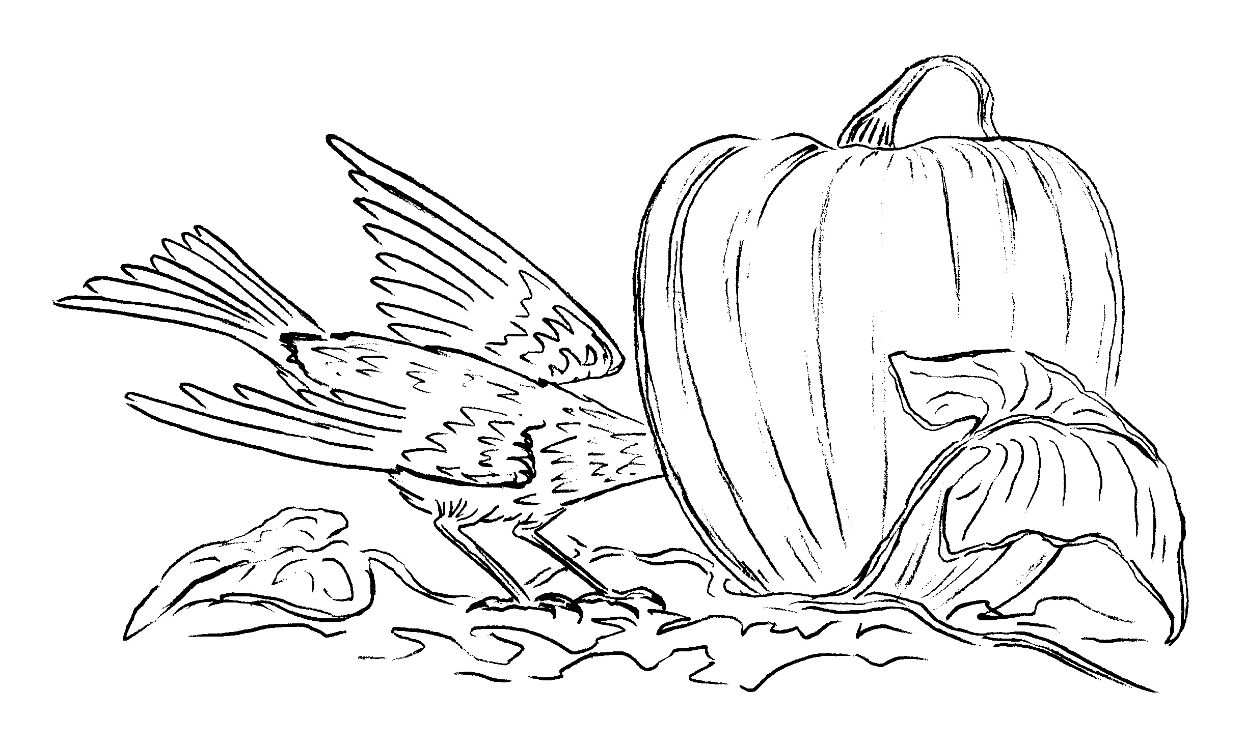 PumpkinCrow-w-head-in.jpg