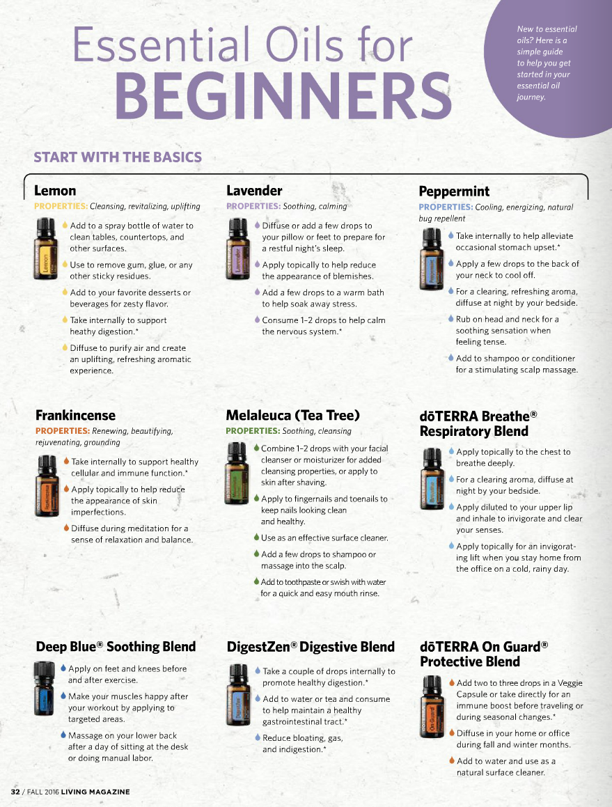 Top 10 oils overview for beginners.png