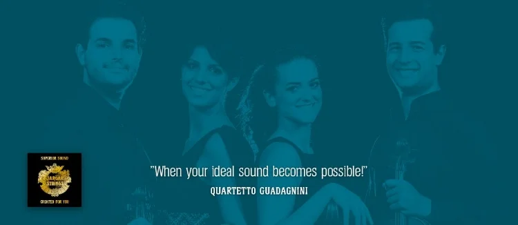 Siamo i nuovi endorser della Jargar Strings, Danimarca!!! 