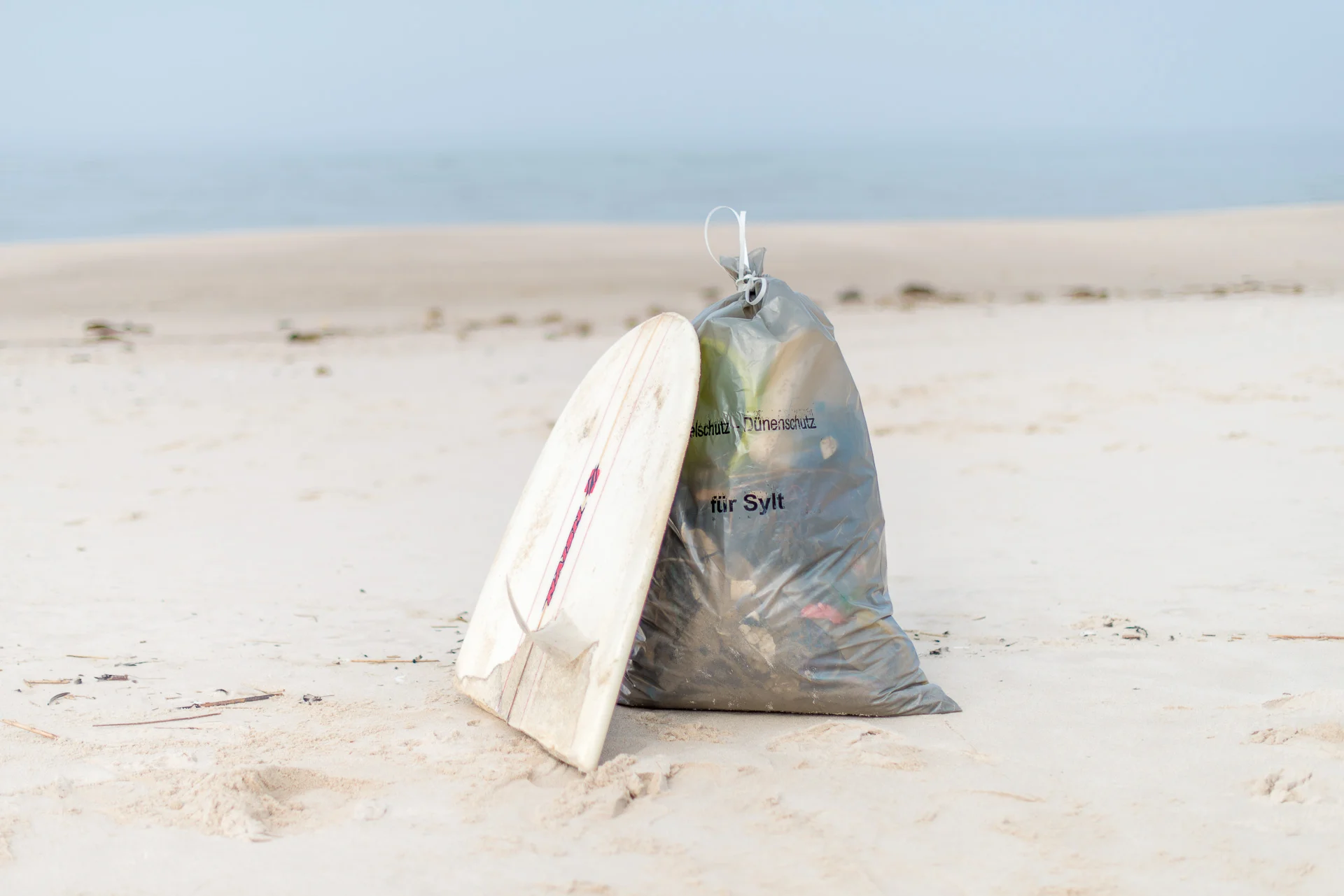 2018-03-25_Beach_Clean_Up_101.jpg