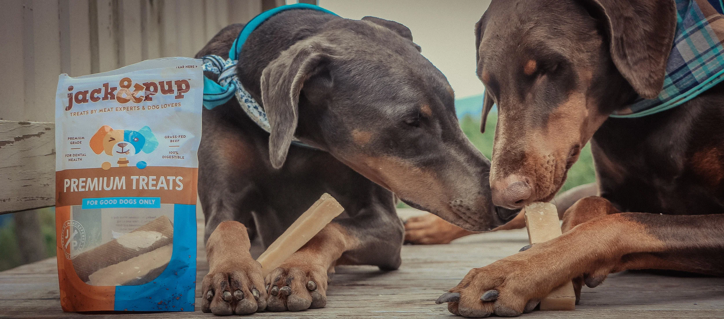 It's just chew and me (pictured here: Premium Himalayan Yak Cheese Dog Chews (4 Pack)