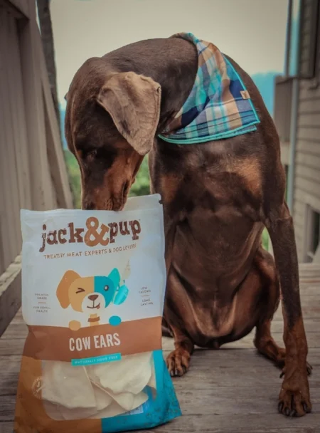 himalayan dog chew reddit