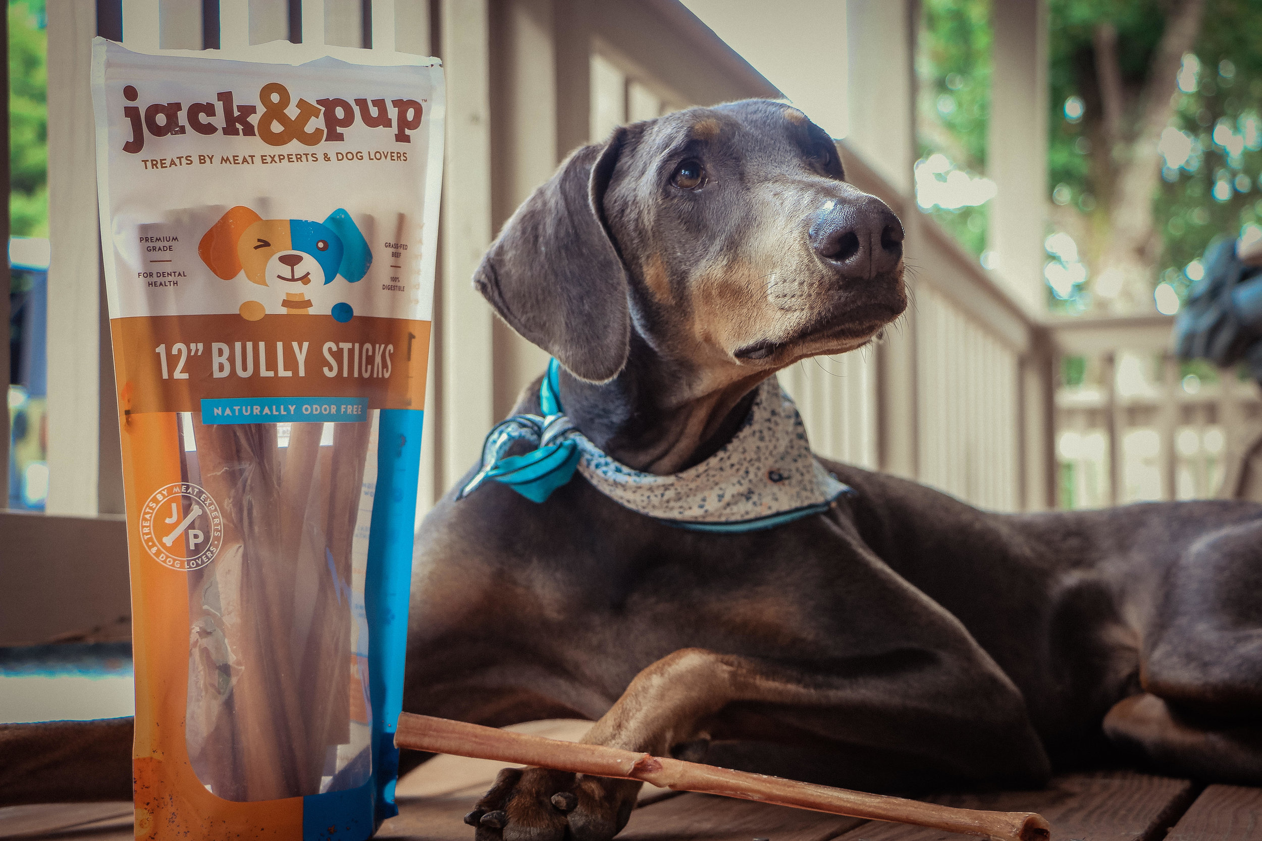 jack & pup bully sticks