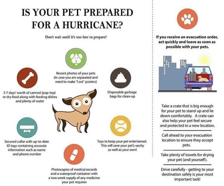 Thanks to @CharlotteSPCA for this helpful graphic!