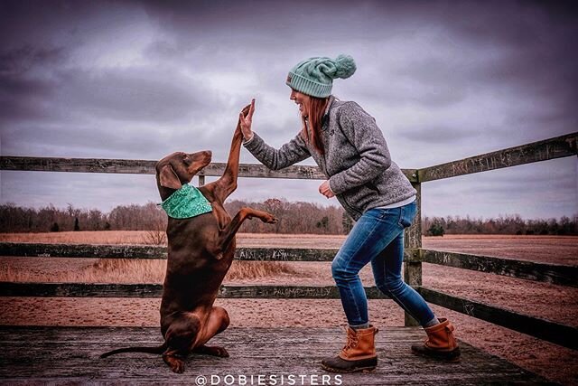 Sometimes we all just need a high-five to get us through the day 🙏
.
.
Seems like every caption I&rsquo;m reading today is about the corona virus. I live in Dayton, and there&rsquo;s drama here about UD sending students home with only 24 hours notic
