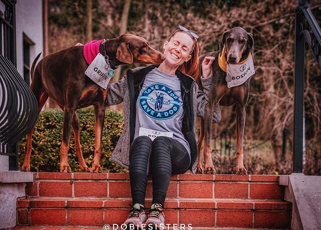 Being on a home quarantine was a great time to complete our virtual 5k for @take.a.jog_save.a.dog - sponsored by @pacifichound and @dogswhojog 🏃&zwj;♀️🐶
.
.
Full disclosure - I&rsquo;m much better at saving dogs than taking jogs 🤣 Thankfully my ne