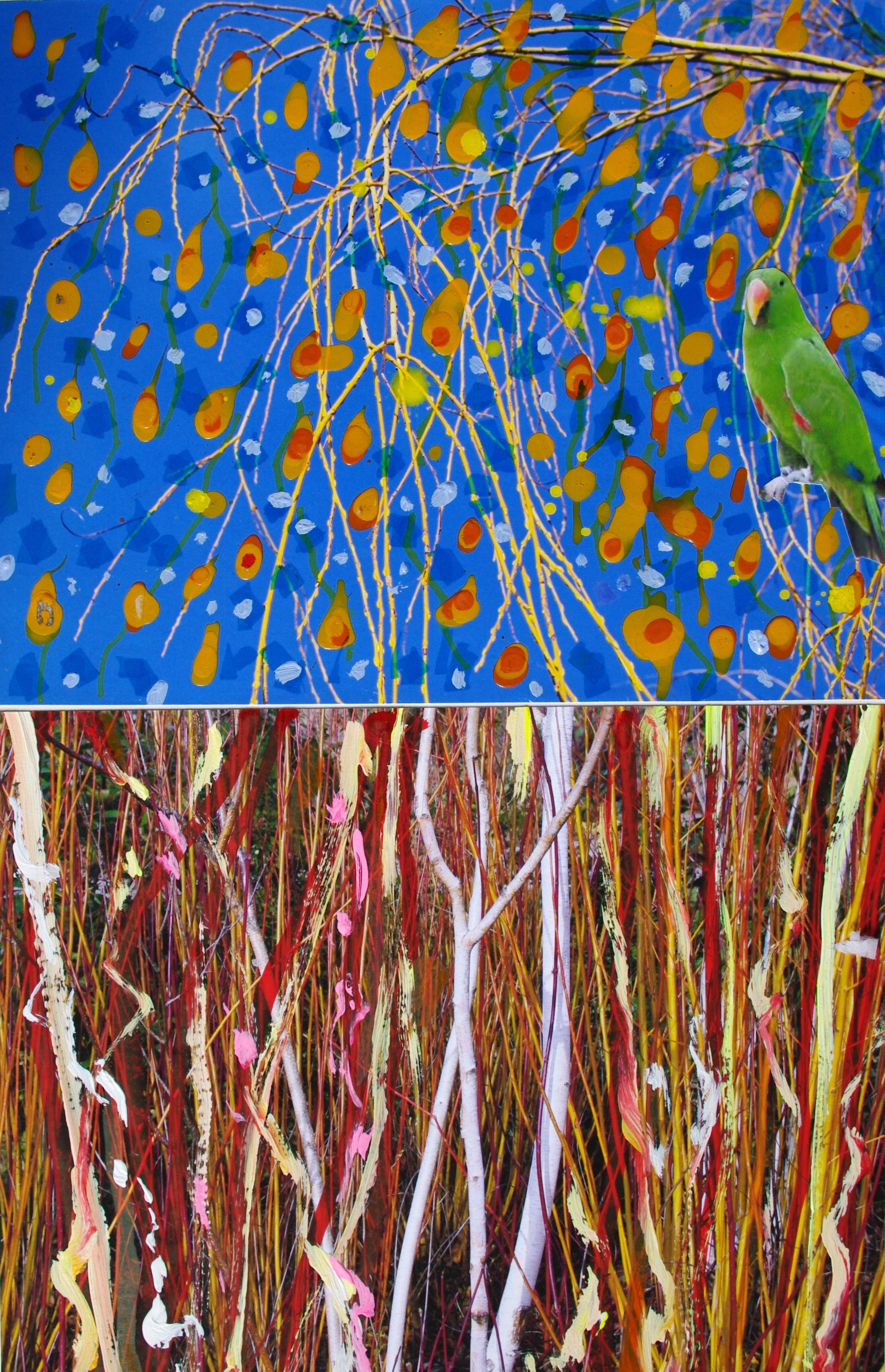 Tweet from the Heath photo piece 2014