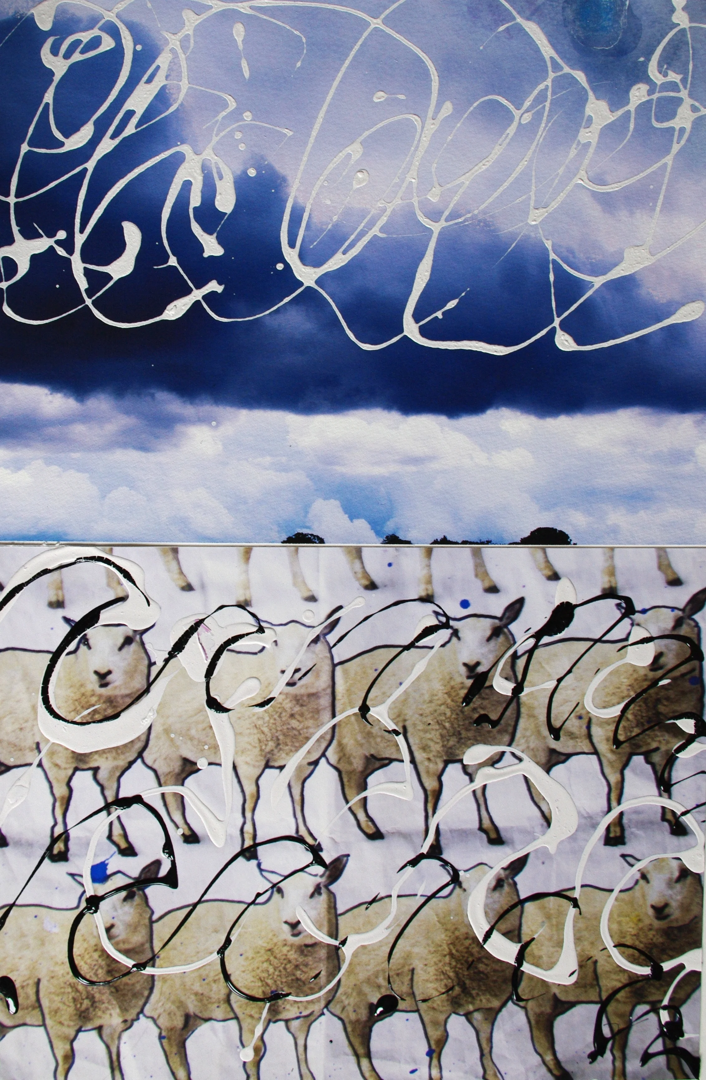 Sheep 2014