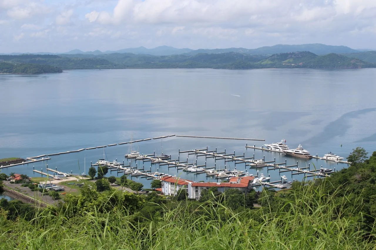 Papagayo.jpeg