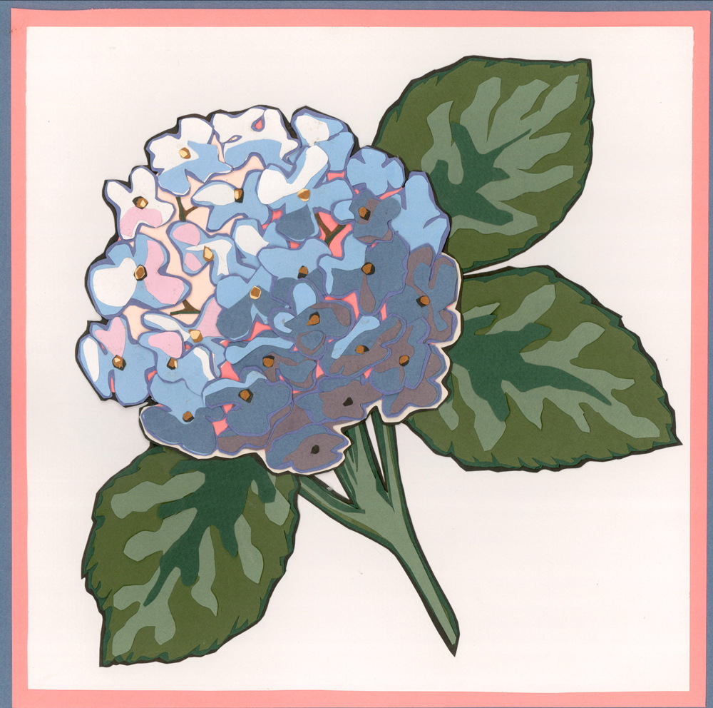 Hydrangea.jpg