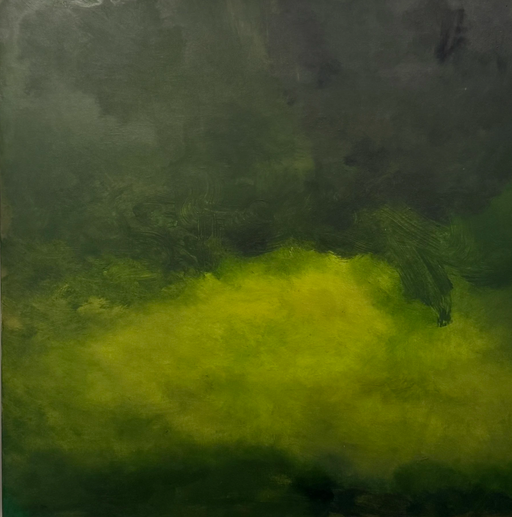  CLOVER DREAM  oil on canvas   80cm x 80cm (framed in white tray frame)  for sale P.O.A 