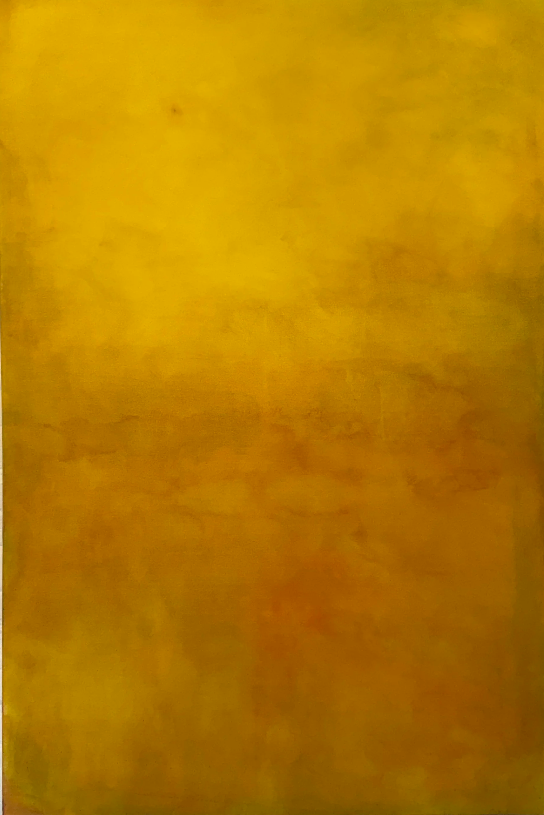 GOLDEN FIELD