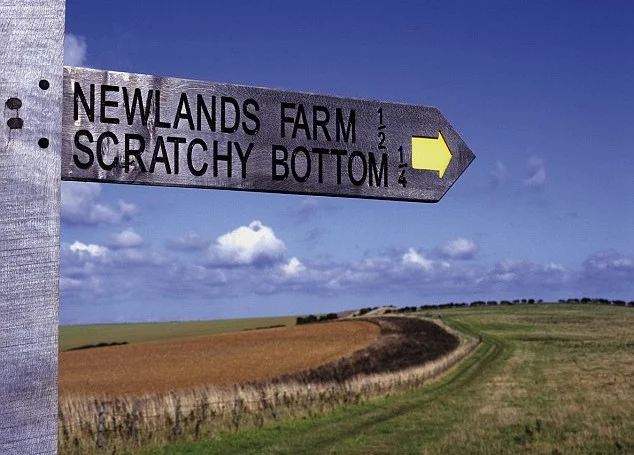 scratchy-bottom-634x455.jpg