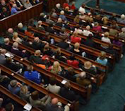 crowd shot website.png